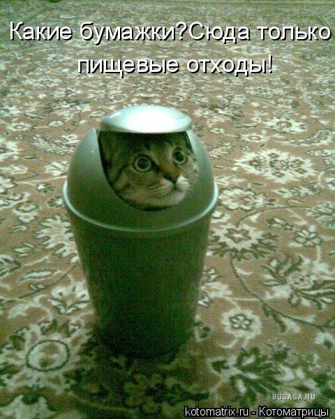 Дом Мечты Болталка: перезагрузка