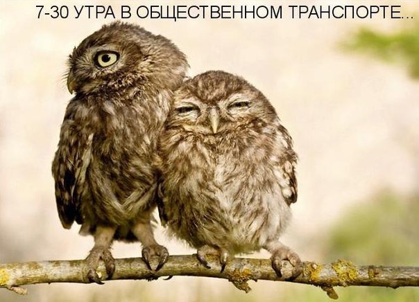 Дом Мечты Болталка: перезагрузка