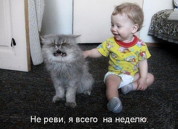 Дом Мечты Болталка: перезагрузка