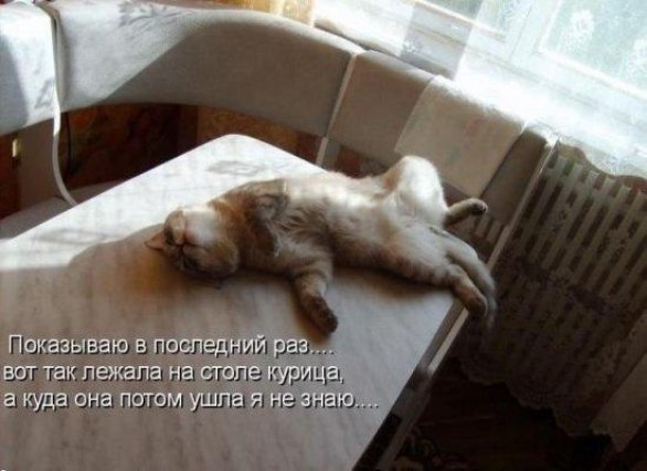 Дом Мечты Болталка: перезагрузка