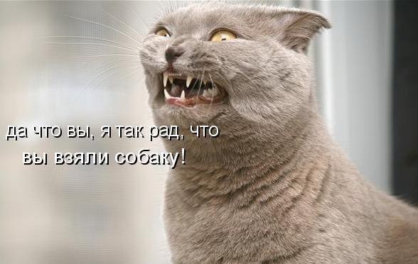 Дом Мечты Болталка: перезагрузка