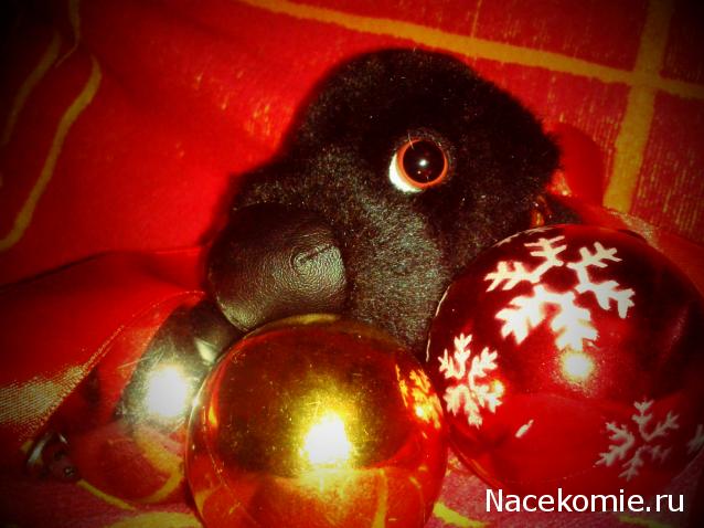 The Dog Collection Болталка