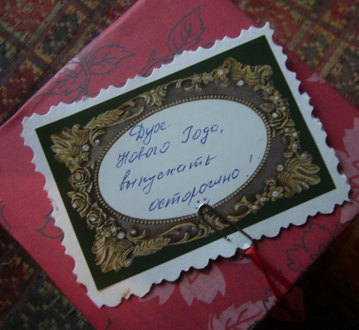 Дом Мечты и Новогодний Санта