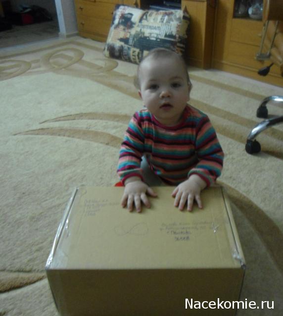 Дом Мечты и Новогодний Санта