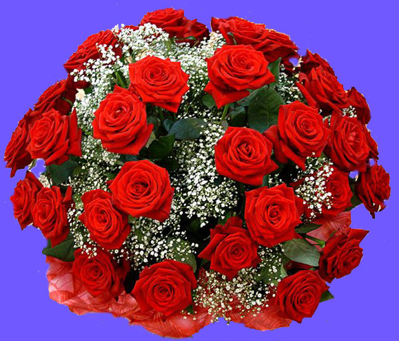 Дом Мечты и Новогодний Санта