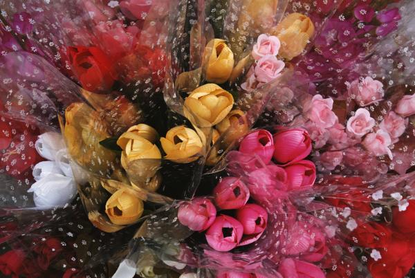 Дом Мечты наши дни рождения