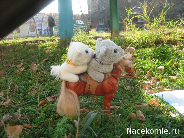 The Dog Collection Болталка