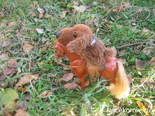 The Dog Collection Болталка