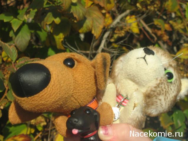 The Dog Collection Болталка