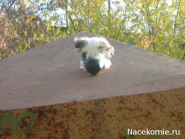 The Dog Collection Болталка