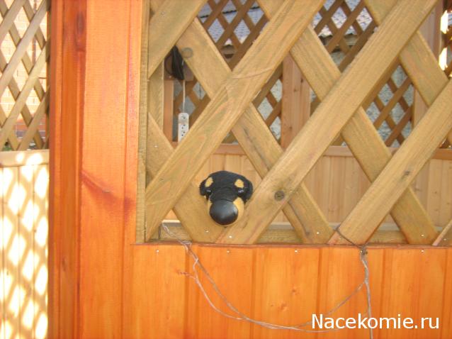 The Dog Collection Болталка