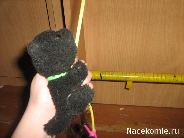 Кошкин дом. Болталка The Cat Collection