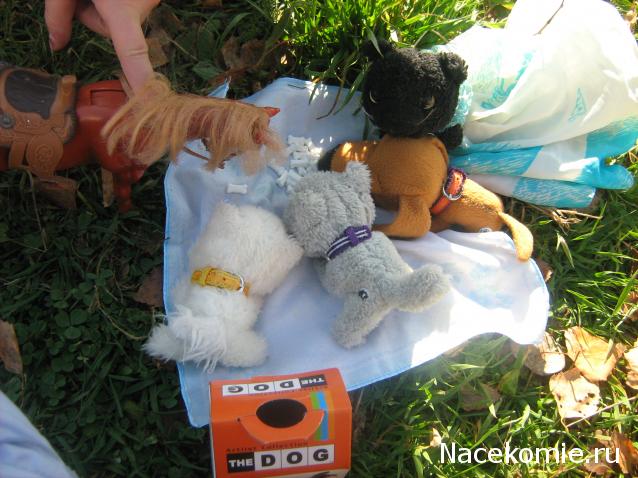 The Dog Collection Болталка