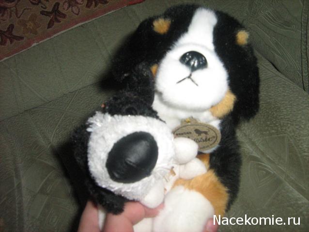 The Dog Collection Болталка