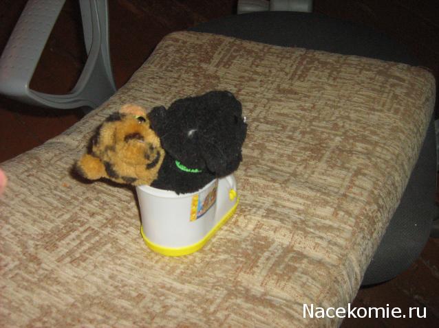 Кошкин дом. Болталка The Cat Collection