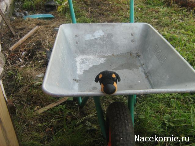 The Dog Collection Болталка