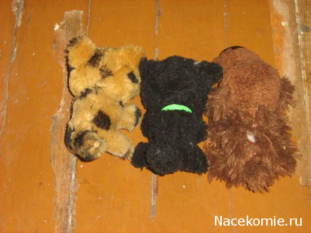 Кошкин дом. Болталка The Cat Collection