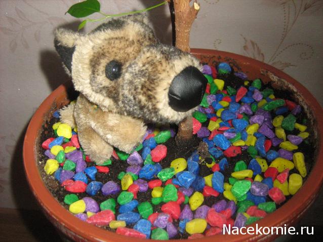 The Dog Collection Болталка