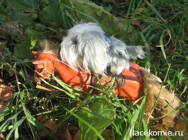 The Dog Collection Болталка