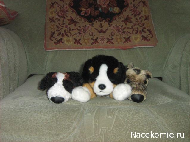 The Dog Collection Болталка