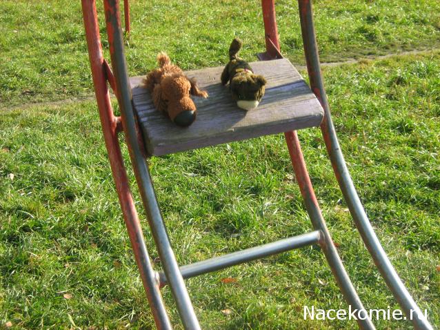 The Dog Collection Болталка