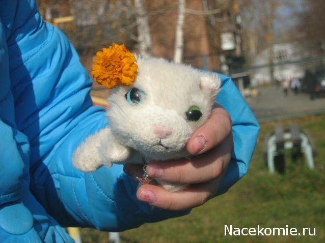 The Dog Collection Болталка