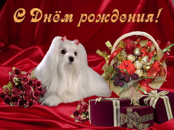 Дом Мечты наши дни рождения