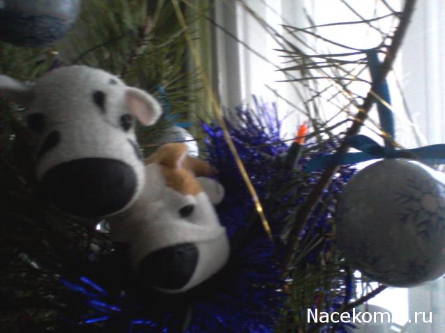 The Dog Collection Болталка