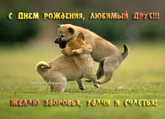 Дом Мечты наши дни рождения