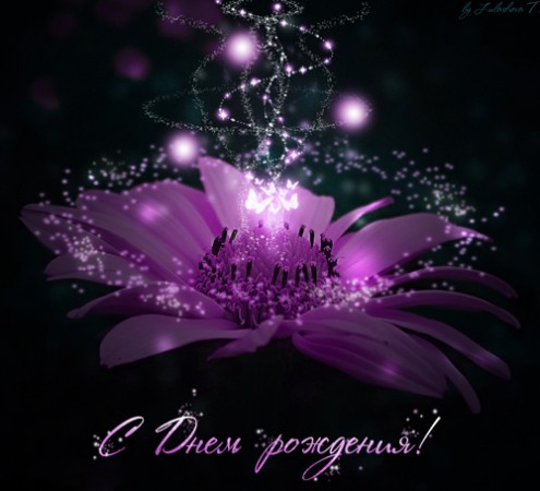 Дом Мечты наши дни рождения