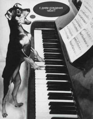 Дом Мечты наши дни рождения