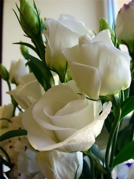 Дом Мечты наши дни рождения