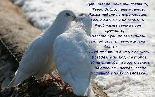 Дом Мечты наши дни рождения