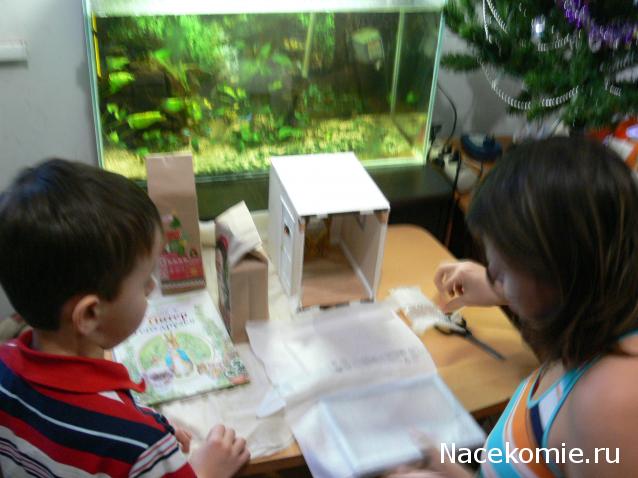 Дом Мечты и Новогодний Санта