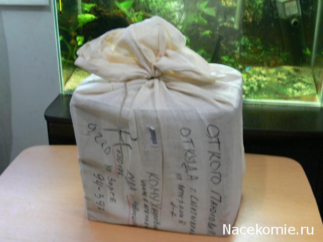 Дом Мечты и Новогодний Санта