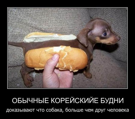 Дом Мечты Болталка: перезагрузка