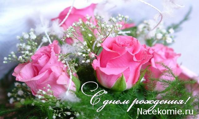 Дом Мечты наши дни рождения