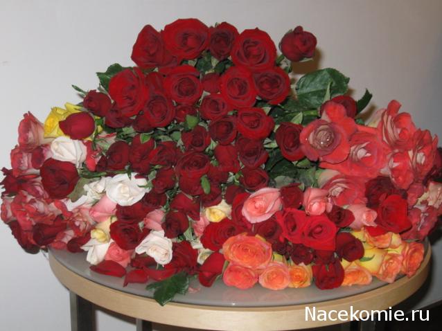 Дом Мечты наши дни рождения