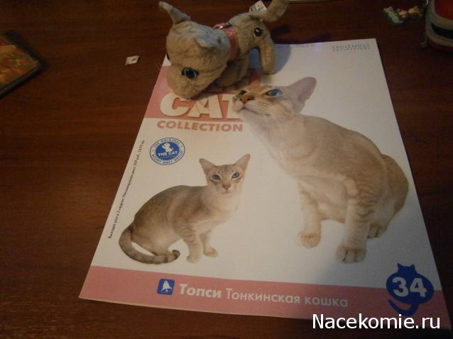 The Cat Collection №34 Тонкинская кошка Фото