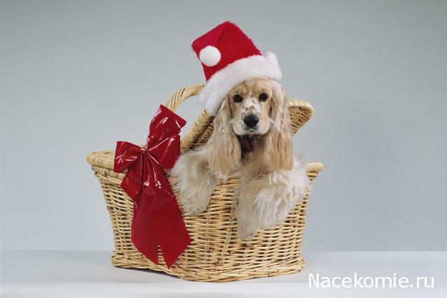 The Dog Collection Болталка