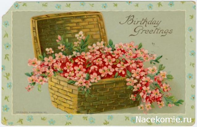 Дом Мечты наши дни рождения