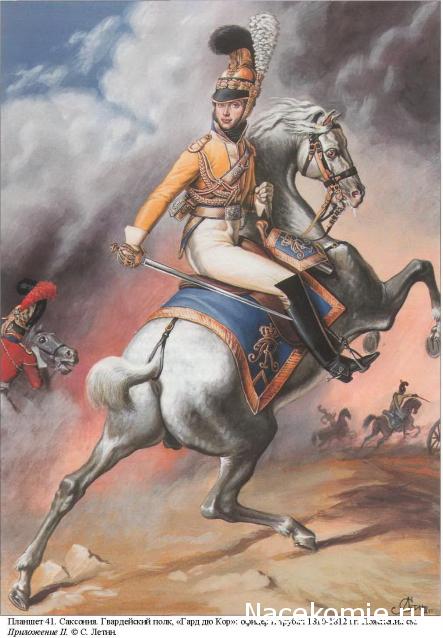 Униформология НВ: Великая Армия