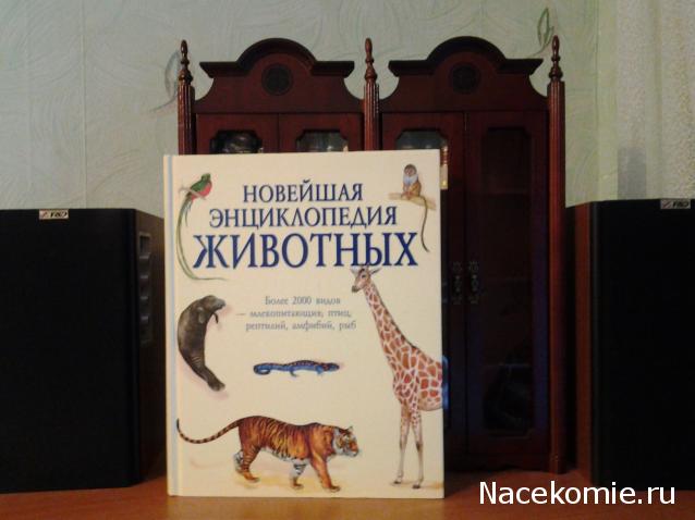 Серия 2012 года