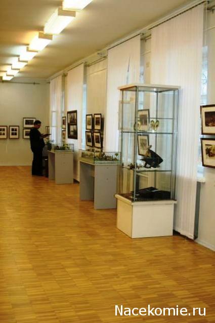 Фотоотчеты с Выставок