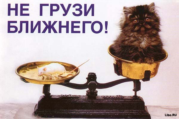 Дом Мечты Болталка: перезагрузка