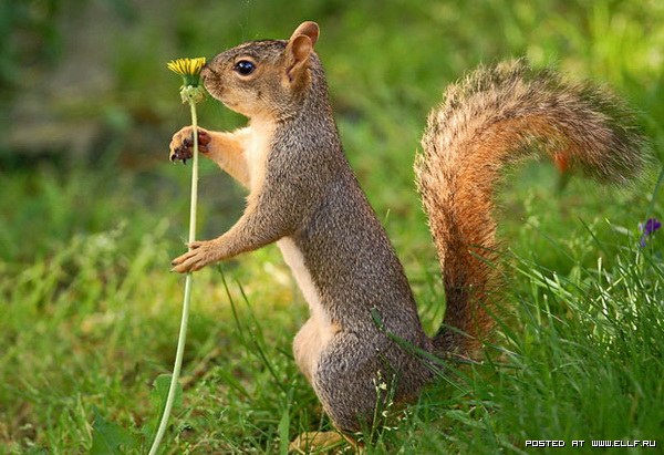 Дом Мечты наши дни рождения