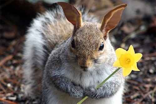 Дом Мечты наши дни рождения