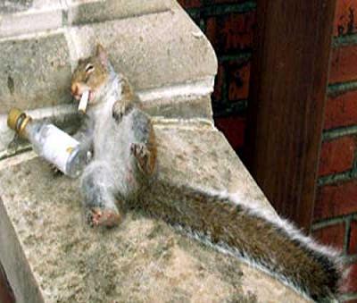 Дом Мечты Болталка: перезагрузка