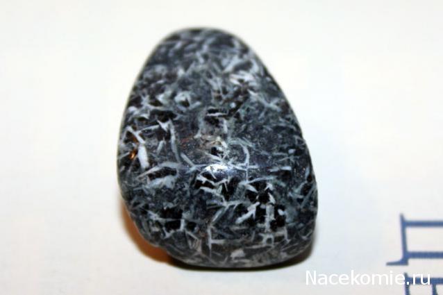 Энергия камней № 101 Цветочная яшма (окатанный камень) фото, обсуждение