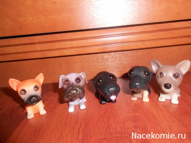 The Dog Collection Болталка